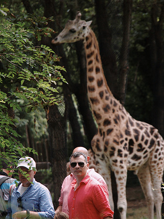 Bronx Zoo