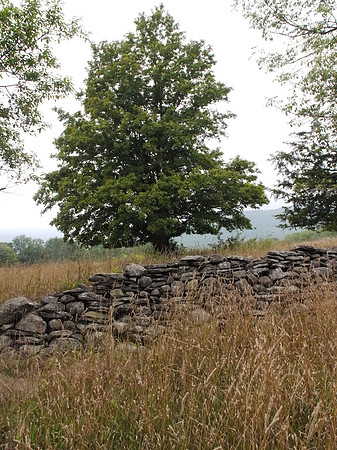 Stone wall, Magnus farm, Prattsville NY