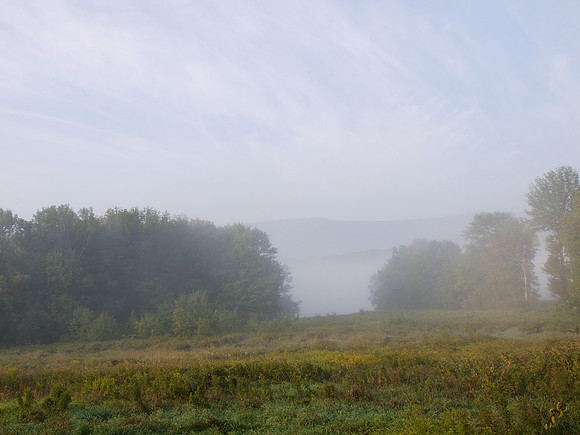 Magnus farm, a misty morning
