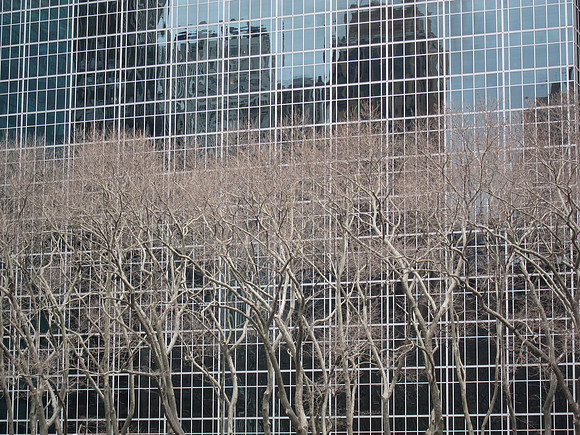 Trees, Bryant Park