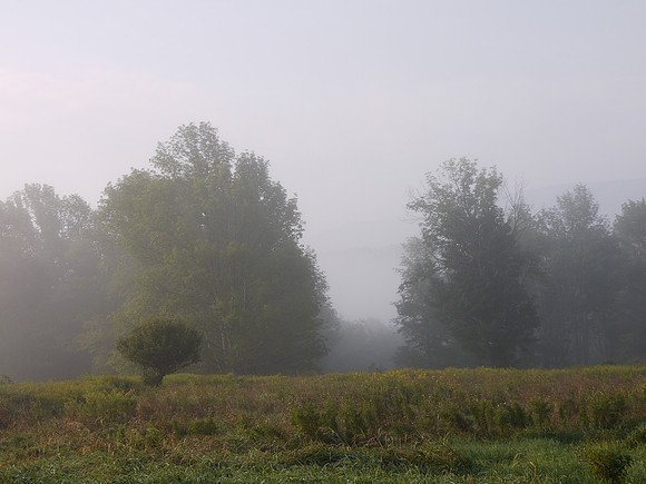 Magnus farm, a misty morning