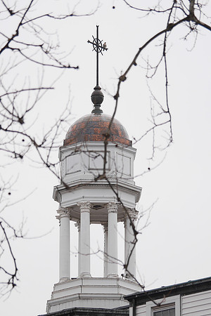 Peregrine Falcon, Manhattan College, Bronx NY
