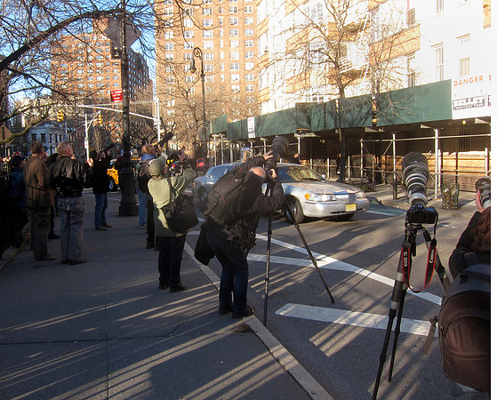 Bird paparazzi, Abingdon Square