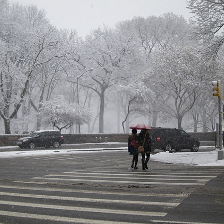 Snowstorm, Central Park West