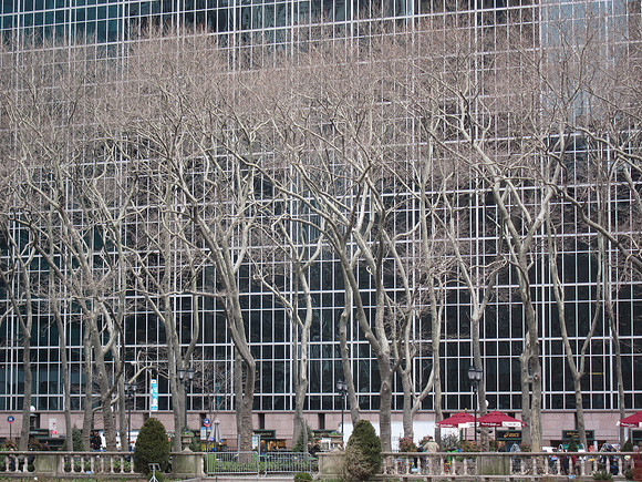 Trees, Bryant Park