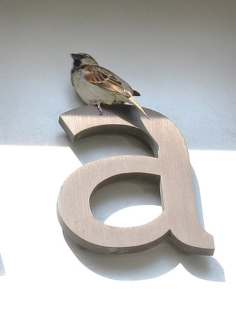 A is for Sparrow