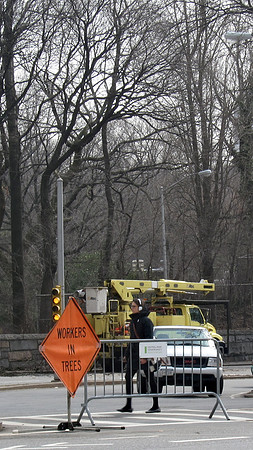 WORKERS IN TREES (Central Park West)